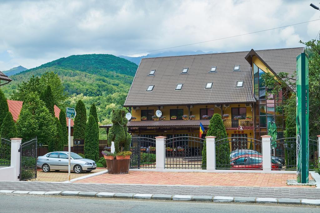 Pensiunea Alfrid Calimanesti Exterior foto